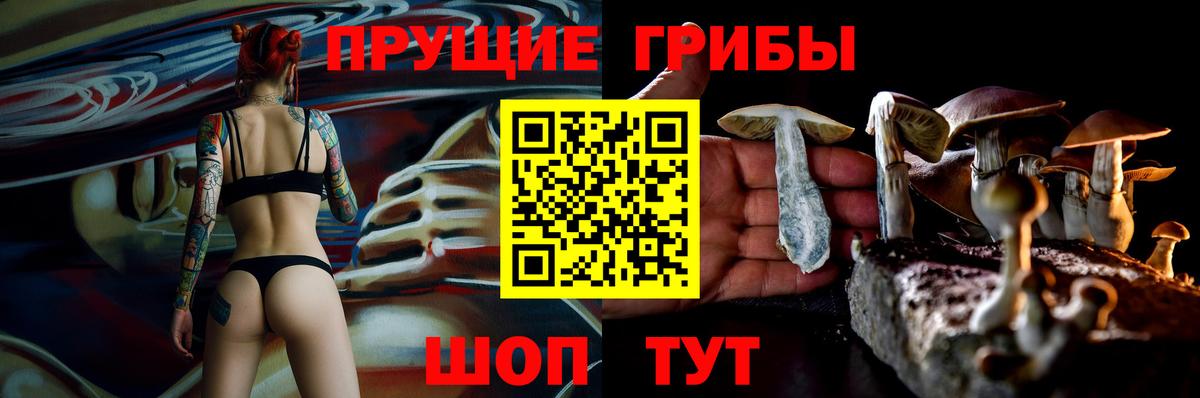 Урюпинск  Псилоцибиновые грибы Psilocybe  Вход с VPN 